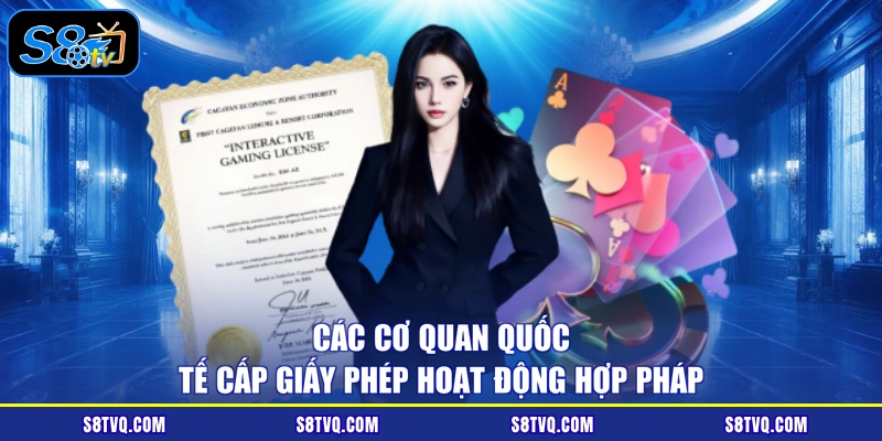 Các cơ quan quốc tế cấp giấy phép hoạt động hợp pháp