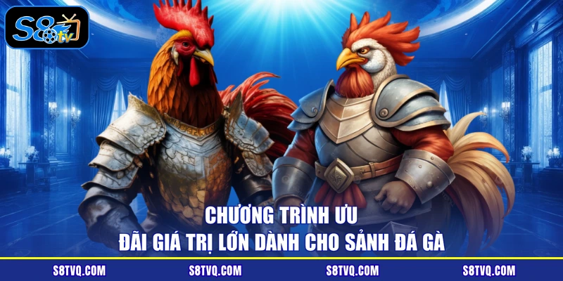 Chương trình ưu đãi giá trị lớn dành cho sảnh đá gà