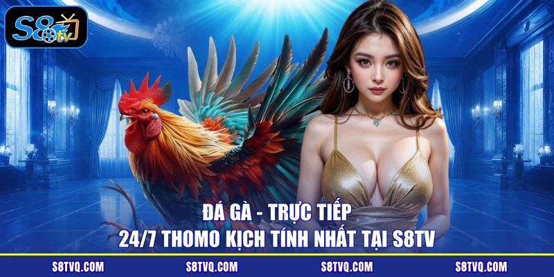 Đá Gà - Trực Tiếp 24/7 Thomo Kịch Tính Nhất Tại S8TV